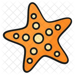 Starfish  Icon