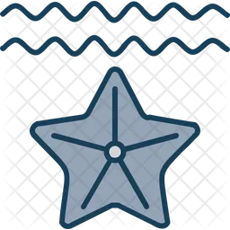 Starfish  Icon