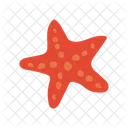 Starfish Icon