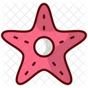 Starfish Icon