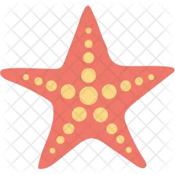 Starfish  Icon
