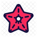 Sea Starfish Marine Icon