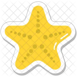 Starfish  Icon