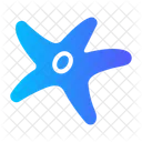 Starfish Sea Star Star Icon
