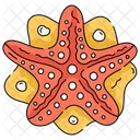 Starfish Beach Marine Icon