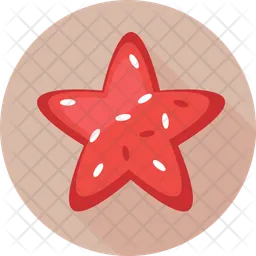 Starfish  Icon