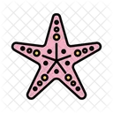 Starfish Marine Ocean Icon