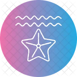 Starfish  Icon