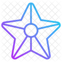 Starfish Icon