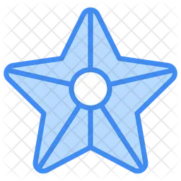 Starfish  Icon