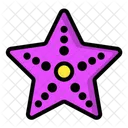 Starfish  Icon