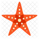 Starfish Sea Animal Icon