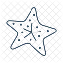 Starfish  Icon