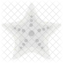 Starfish Sea Creature Sea Star Icon