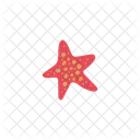 Vector Illustration Starfish Icon