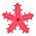 Starfish Sea Creature Animal Icon