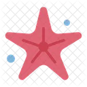 Starfish Ocean Marine Icon