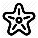 Starfish  Icon