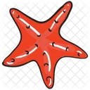 Starfish  Icon