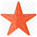Starfish Sea Star Sea Creature Icon