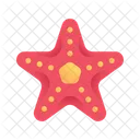 Starfish Nature Animal Icon