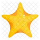 Starfish Sea Star Sea Creature Icon