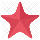Starfish Fish Sea Creature Icon