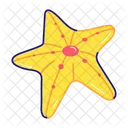 Sea Creature Sea Animal Starfish Symbol