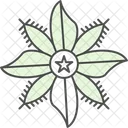 Starflower Borage Floral Icon