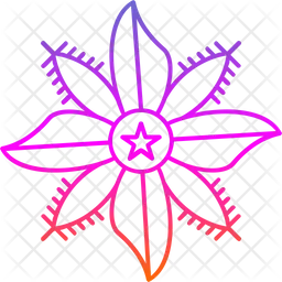 Starflower  Icon