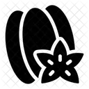 Starfruit  Icon