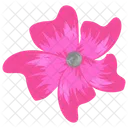 Stargazer Lily Lily Flower Blossom Icon