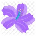 Stargazer Lily Lily Flower Blossom Icon