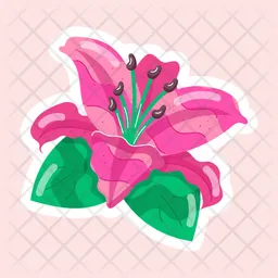 Stargazer Lily  Icon