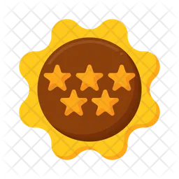 Stars  Icon