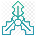 Stechpalme Stechpalmenbeere Weihnachtsdekoration Symbol