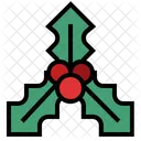 Stechpalme Stechpalmenbeere Weihnachtsdekoration Symbol