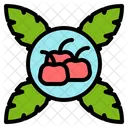 Stechpalme Obst Rot Symbol