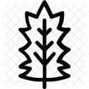 Stechpalme  Symbol