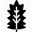 Stechpalme  Symbol