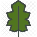 Stechpalme Blatt Natur Symbol