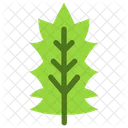 Stechpalme  Symbol
