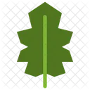 Stechpalme  Symbol