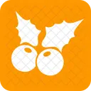 Stechpalme Kirsche Feier Symbol