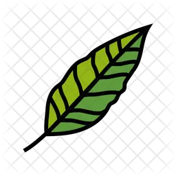 Stelizia Leaf  Icon