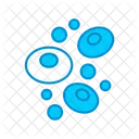 Stem Cells Biology Cell Icon