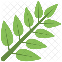 Stem With Leaves  Icon