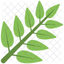 Stem Green Leaves Icon