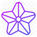 Stern Favorit Auszeichnung Symbol