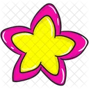 Sternblume Dekorative Blume Fantasieblume Icon